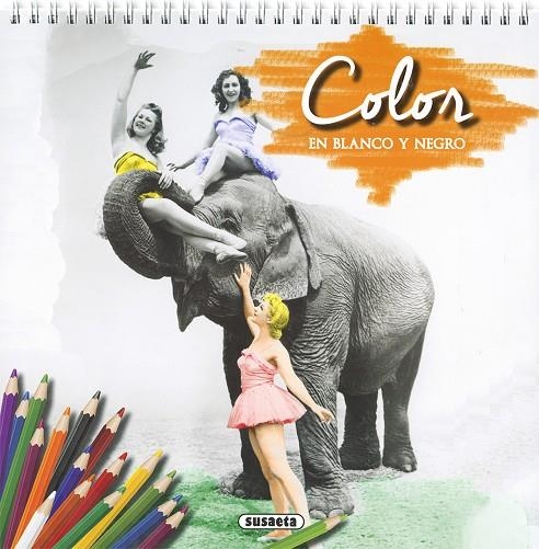 COLOR EN BLANCO Y NEGRO | 9788467756432 | SUSAETA, EQUIPO