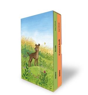 ESTOIG ROVELLÓ | 9788424676520 | VALLVERDÚ I AIXALÀ, JOSEP