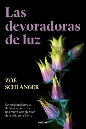 LAS DEVORADORAS DE LUZ | 9788449343742 | SCHLANGER, ZOË
