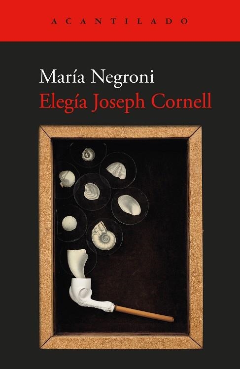 ELEGÍA JOSEPH CORNELL | 9791387964122 | NEGRONI, MARÍA