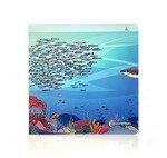 PASEO POR EL MAR | 9788412906844 | , AA.VV.