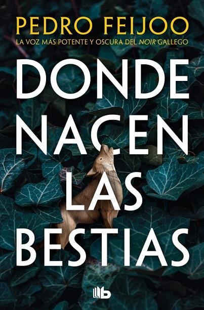 DONDE NACEN LAS BESTIAS | 9791387652357 | FEIJOO, PEDRO