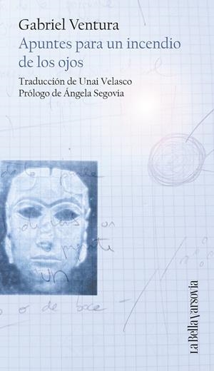APUNTES PARA UN INCENDIO DE LOS OJOS | 9788433949875 | VENTURA, GABRIEL