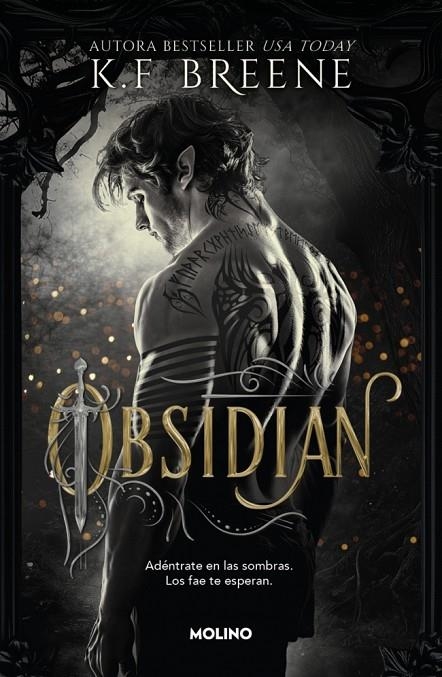 LOS FAE DE LAS SOMBRAS 1 - OBSIDIAN | 9788427257290 | BREENE, K.F.
