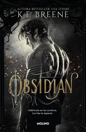 LOS FAE DE LAS SOMBRAS 1 - OBSIDIAN | 9788427257290 | BREENE, K.F.
