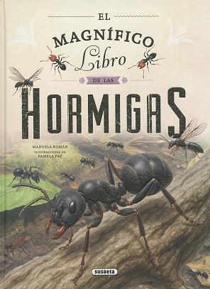 EL MAGNÍFICO LIBRO DE LAS HORMIGAS | 9788410849297 | ROMÁN, MANUELA