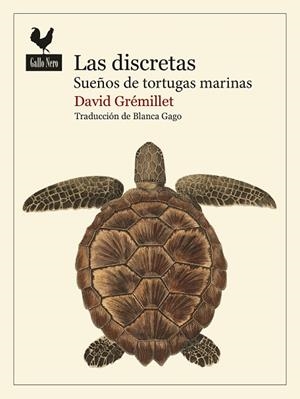 LAS DISCRETAS | 9788419168986 | GRÉMILLET, DAVID